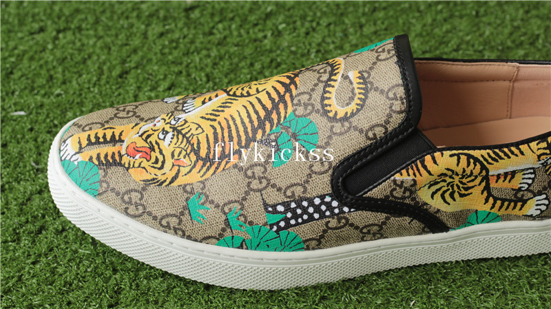 GC Brand Sneaker Low Top Tiger Pattern